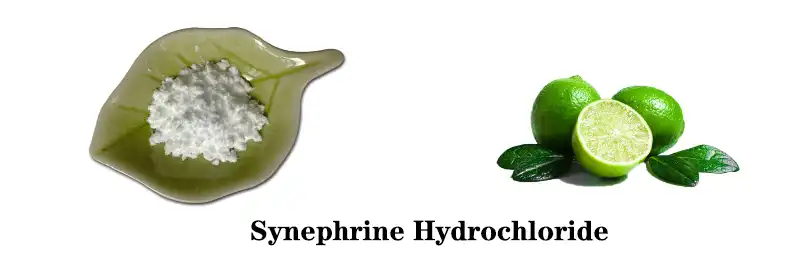 Synephrine Hydrochloride Factory.jpg